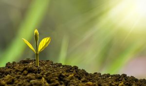 Strategi 'Pro Growth-Pro Welfare': Dorong Ekonomi Indonesia 2027